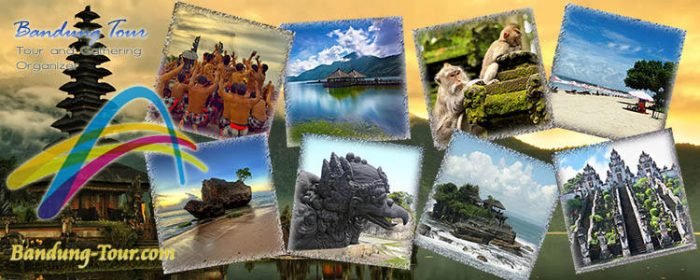 Bali Tour Travel Wisata paket tour bali