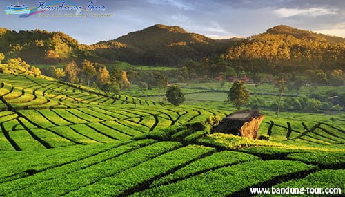 Paket Wisata Jakarta – Bandung 3 Hari 2 Malam