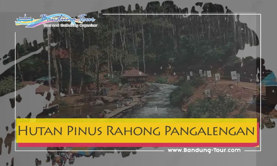 Hutan Pinus Rahong Pangalengan