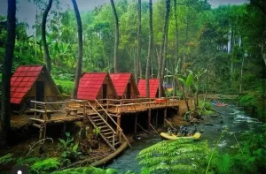 Kampung Singkur hutan rahong pangalengan