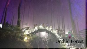 orchid forest cikole lembang bandung-tour