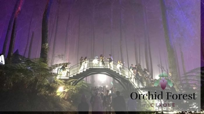 orchid forest cikole lembang bandung-tour