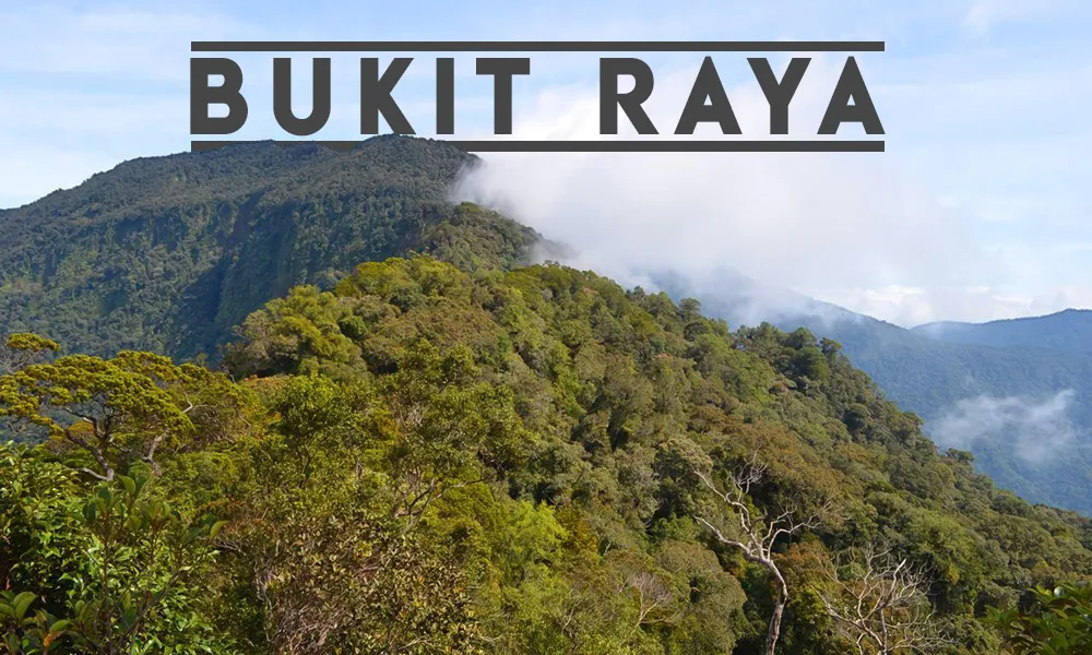 mount bukit raya kalimantan-indonesia-banner