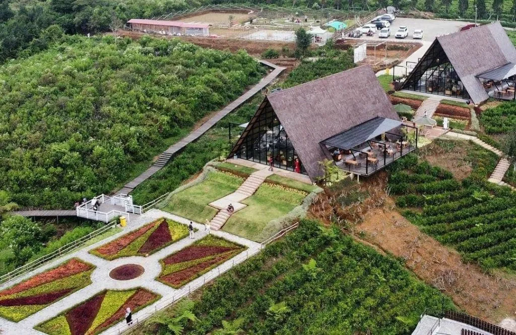 dranch ciater-subang